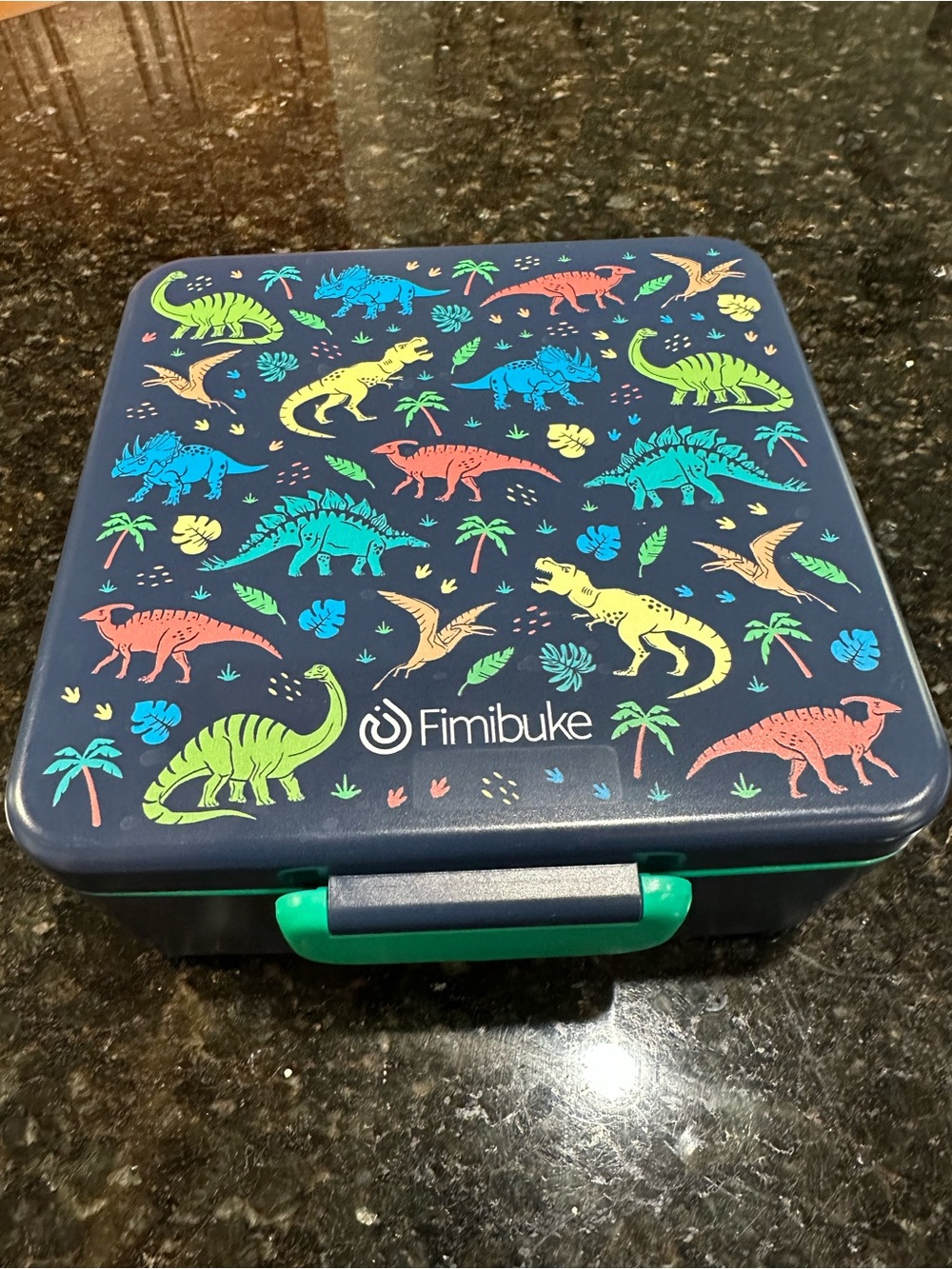 Kids Dinosaur Lunch Box - Navy with Multicolor Dinosaurs